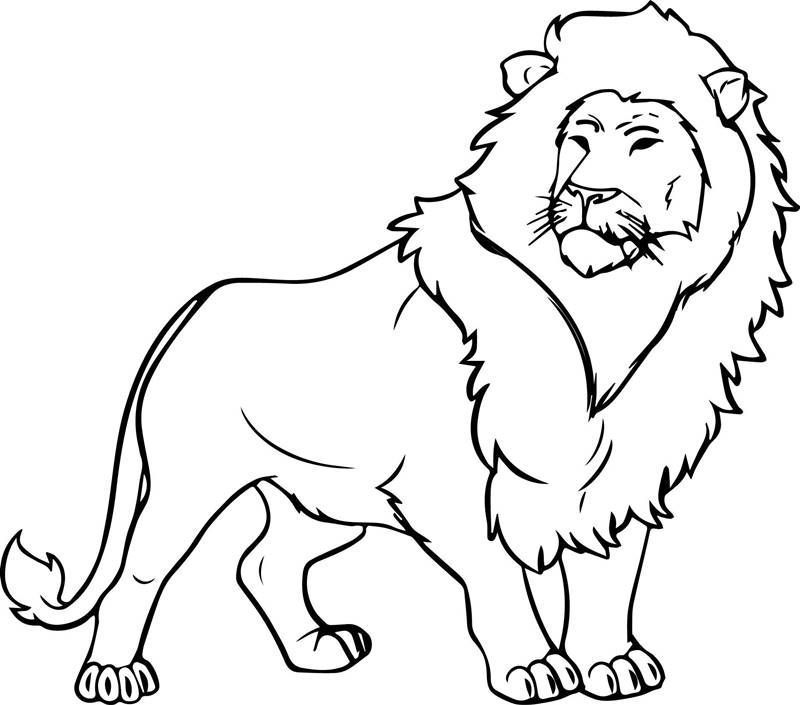 Leão para colorir
