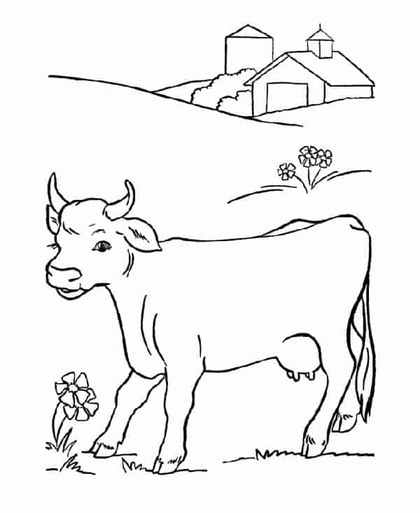 Desenhos de vacas para colorir