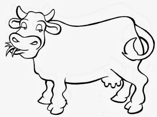 Desenhos de vacas para colorir