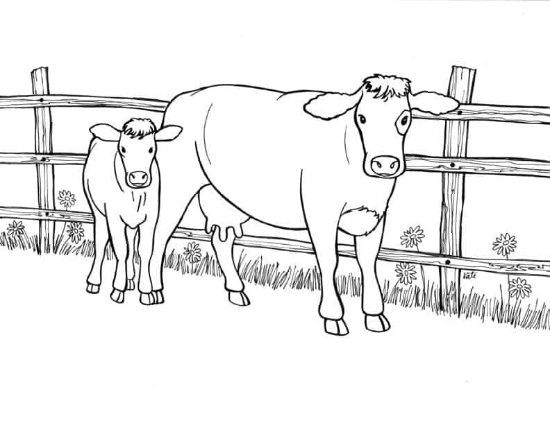 Desenhos de vacas para colorir