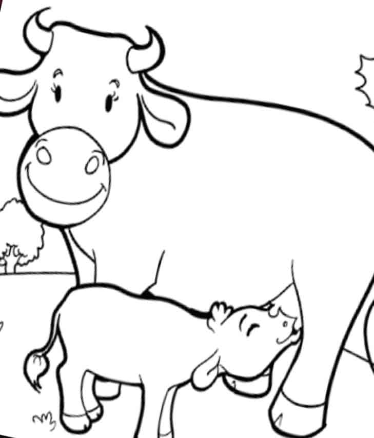 Desenhos de vacas para colorir