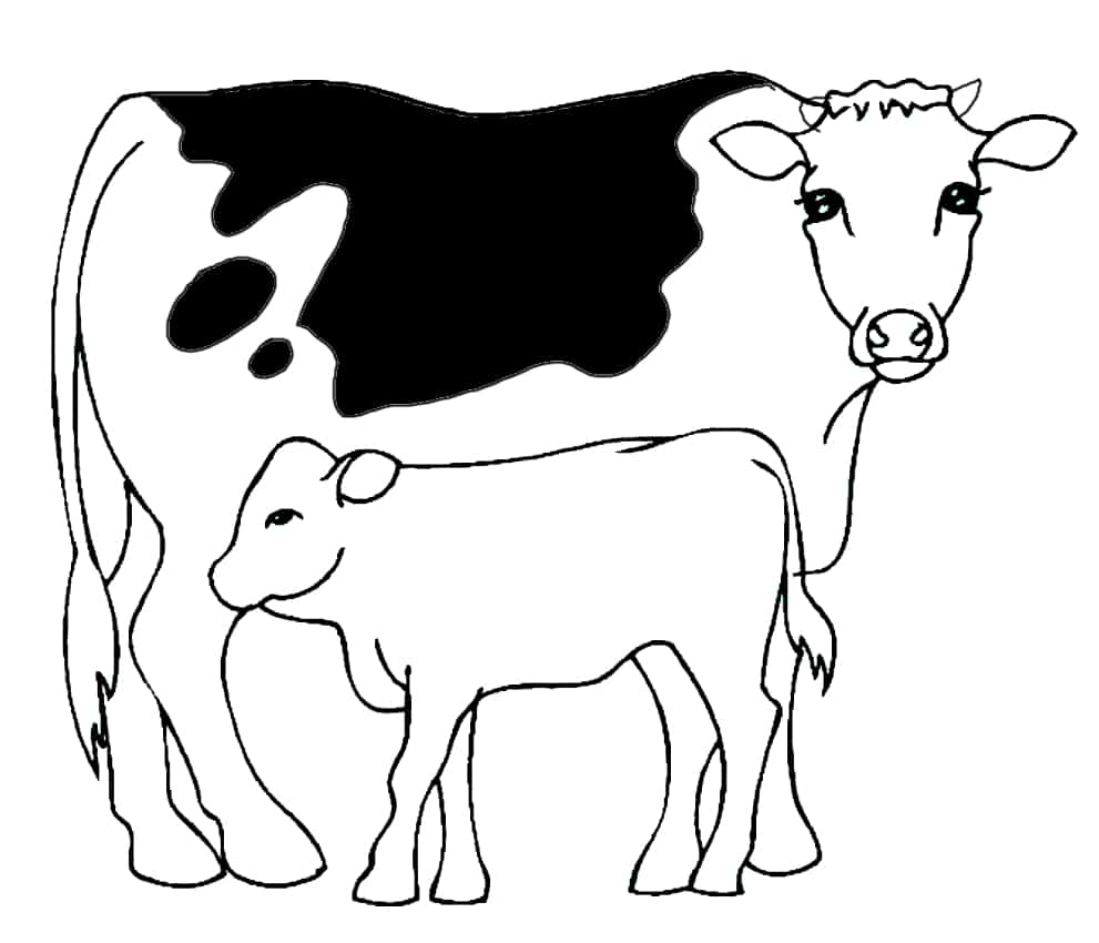 Desenhos de vacas para colorir