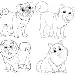 Cachorros para colorir