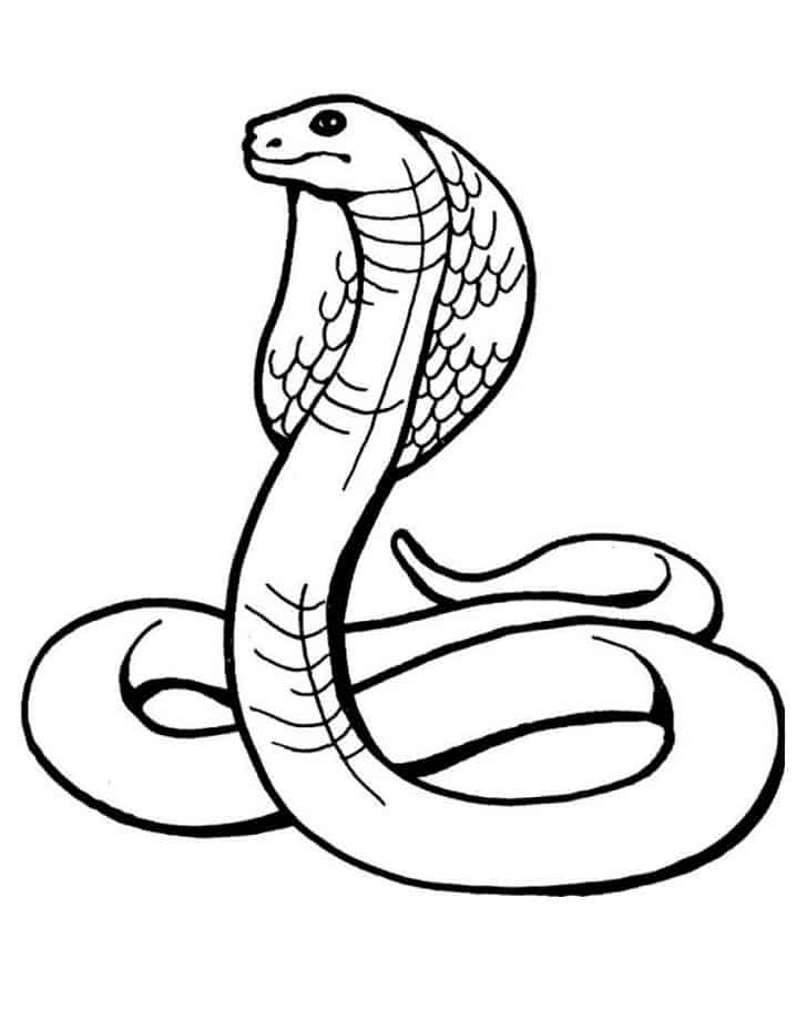 Desenhos de cobra para colorir