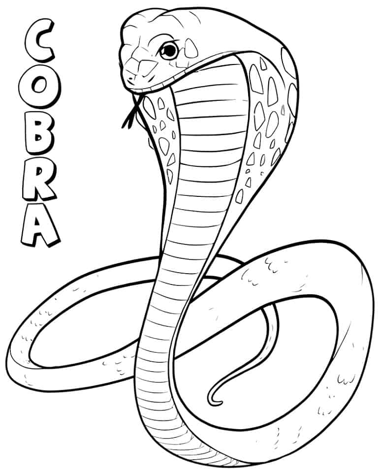 Desenhos de cobra para colorir