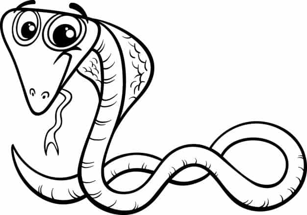 Desenhos de cobra para colorir