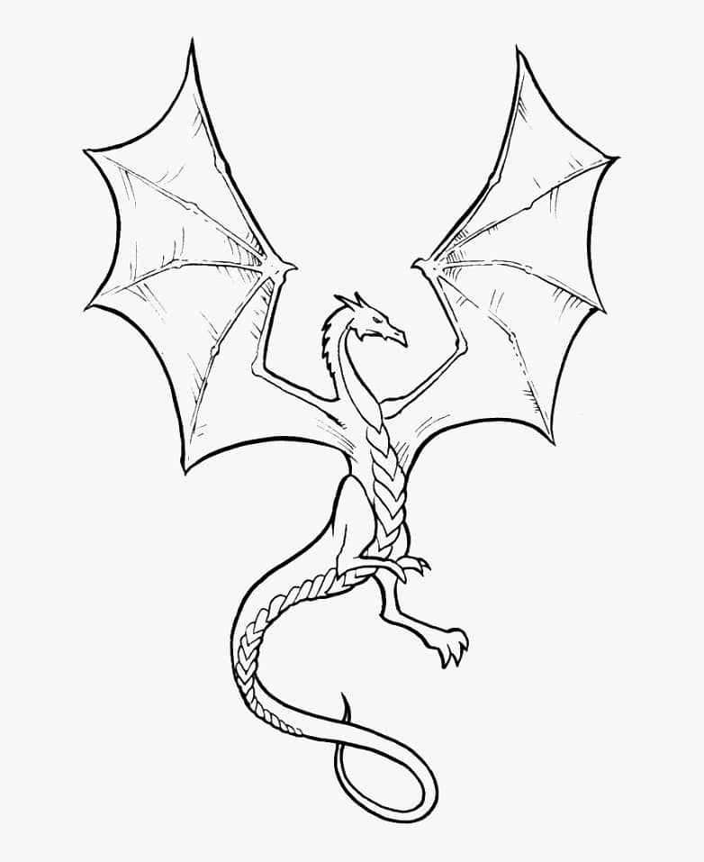 Dragão para colorir