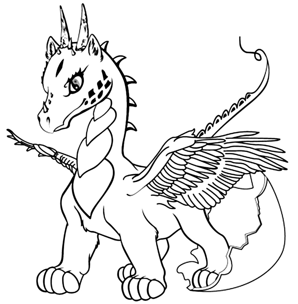 Dragão para colorir