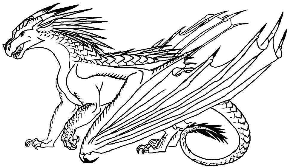Dragão para colorir