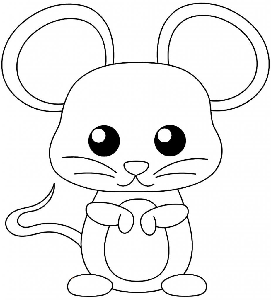 Rato para colorir