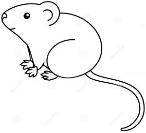 Rato para colorir