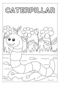 Centopéia para colorir