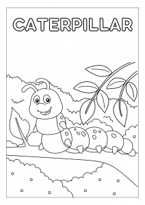 Linda centopéia para colorir
