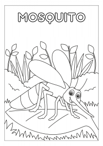 Mosquito para colorir