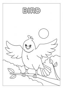Pássaro para colorir